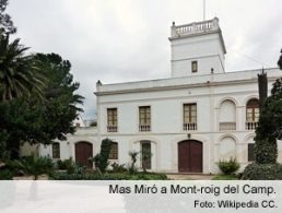ANAV y el Ayuntamiento de Mont-roig del Camp colaboran en el proyecto de museización del Mas Miró