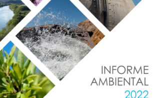 inf_amb_2022
